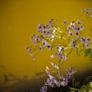 오색초등학교 이미지