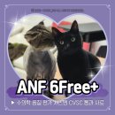 대한사료 | CVSC 사료 믿고 먹이는 안전한 선택 ANF 6Free+ 고양이 사료 추천