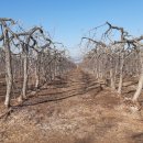 대지부동산중개인사무소 이미지