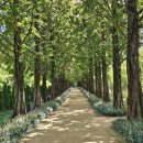 우로지 자연숲 황토길 이미지