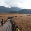 순천만 습지 한국일보