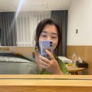 (주)일송개발 오션뷰호텔 코지 하버 | 두 번의 제주 출장과 도쿄 출장 준비