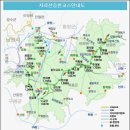 산과숲 이미지