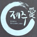 제주궁 | 과일궁 제주 황금 한라봉 / 산지직송 제철과일, 명절선물세트 추천