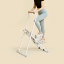 피닉스 휘트니스 이미지