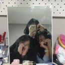 하린컴퍼니 | 봄봄봄