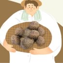 칠갑산둥근마 이미지