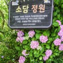 대청 계곡길 이미지