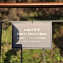 파란 가을 하늘 즐거운 책 읽기 | 남산 하늘숲길 가을산책코스｜회현역 → 백범광장 → N서울타워 완벽 동선