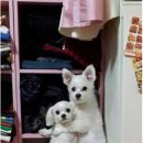 나비잠 방탈출카페 이미지