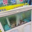 봉곡동279 이미지