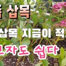 난 원예사 이미지