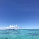 더원 치과기공소 이미지