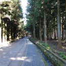 ㈜길렌트카 이미지