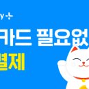 의약품결제카카오페이