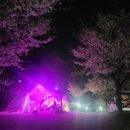 문라이트캠핑장 이미지