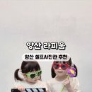 라피움 이미지