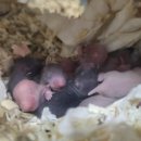 브리딩 팜 이미지