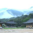 표충사 이미지