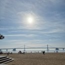 언플랜드88 이미지