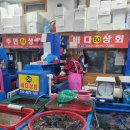 방어진활어센터 이미지