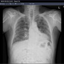 보리은백한의원 이미지