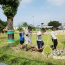 입장초등학교 병설유치원 이미지