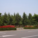 금락1리 이미지