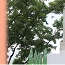 글로벌이아이