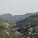 자진뱅이길 이미지