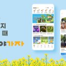 제주소풍가자 이미지