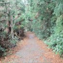 제주 올레길 7-1코스 이미지