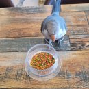 데일리프리티 이미지