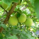 망미2-104 이미지