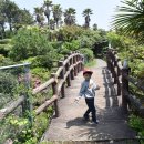 신효동-21 이미지