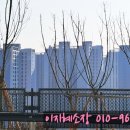 파크비스타 단지내 공인중개사사무소 | 경기광주 더파크비스타데시앙 상가 분양 정보｜대단지 고정수요 + 업종 추천 정리