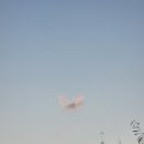 ‘한강’ 산책 이미지