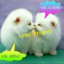 안녕하세요 이미지