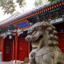 2025 중국 명문대 본과 입학서류 분석 이미지