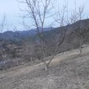 설화농장 이미지