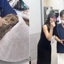 서울동물메디컬센터 이미지