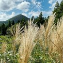 궷물오름 이미지