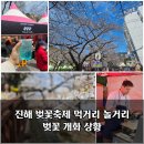 씨유진해여좌벚꽃점 | 아직 멀었네 아쉬운 진해 벚꽃축제 군항제 (feat. 미카엘셰프)