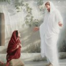 누가 14장 주석, 2026년 5월 3일, Commentary on Luke 14