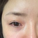 안양무역센터 | 범계역속눈썹펌 추천, 안양속눈썹 모모라움 유지력 미쳤어요 (범계속눈썹전문)