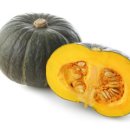 장수헬스 이미지