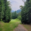 남일오토 이미지