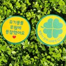 참메디