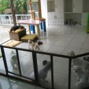 허동물병원 이미지