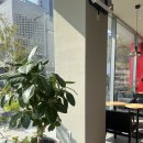 할리스 일광신도시점 이미지